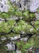 stone wall